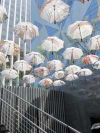 A Peaceful Stroll Through Seoul: Discovering Cheonggyecheon
