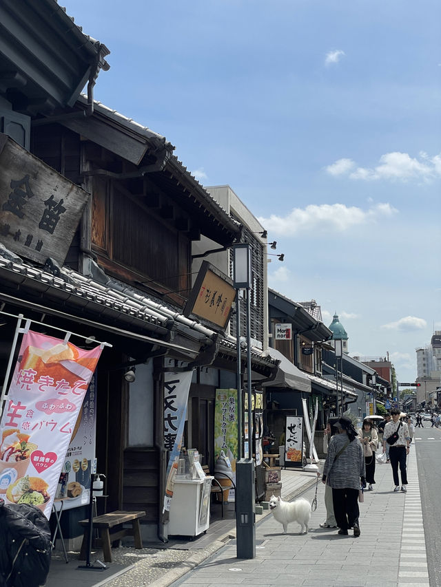 埼玉｜人形流厄運放水流 川越冰川神社的神秘儀式