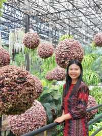 สวนนงนุช พัทยา 