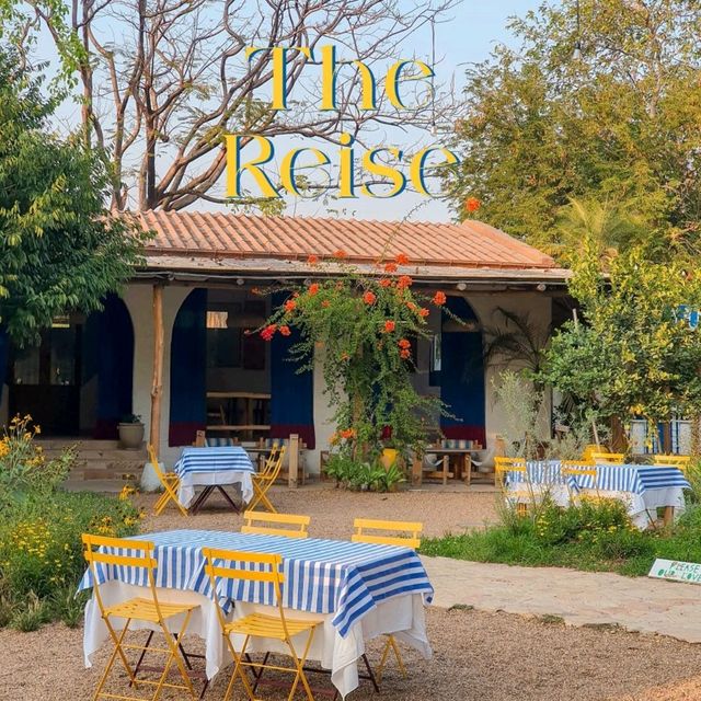 the Reise