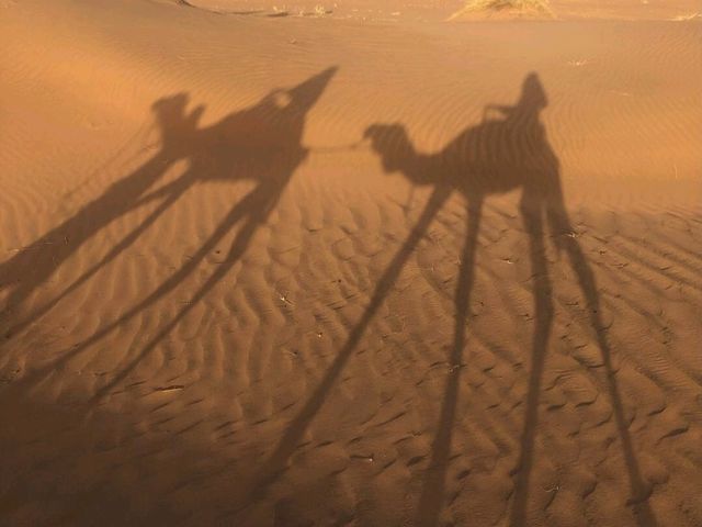 Into the desert
