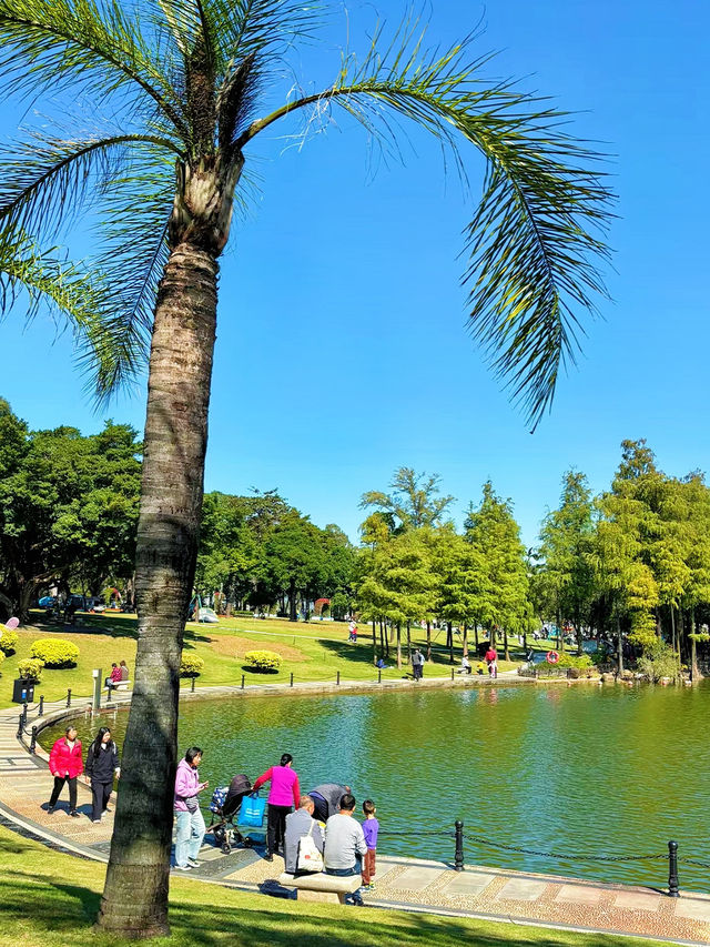 🌊 珠海海濱公園：悠閒漫步的城市綠洲 🌿