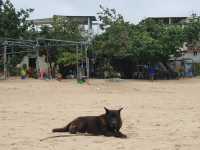 Sun, Surf, and Serenity at Big Wave Bay