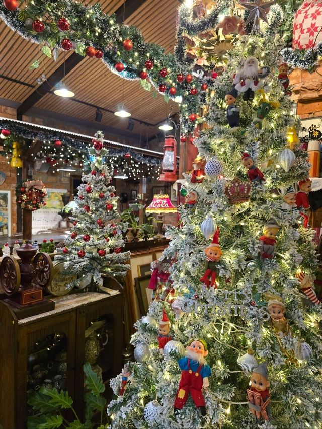 작은 정원 크리스마스가 가득한 카페🎄