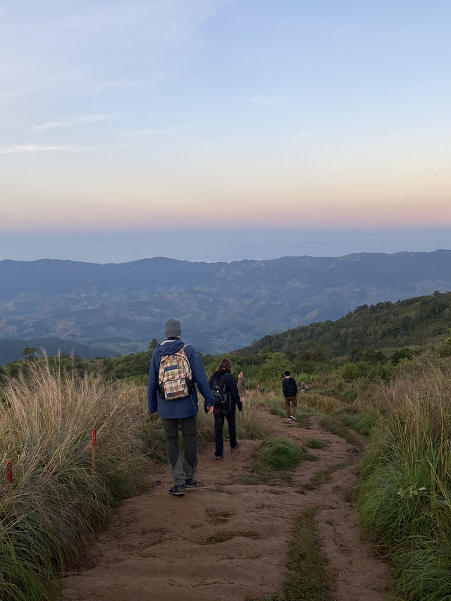 ภูชี้ฟ้า | เชียงราย ⛰️☀️🌳☁️