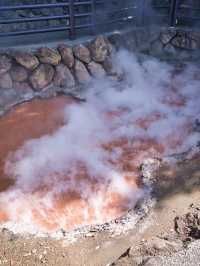 【大分】地獄めぐりだけじゃない‼️別府温泉で湯~ったり癒されよう♨️ 周辺観光情報付き