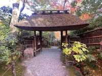 A Sanctuary for the Heartbroken Souls  — The Gio-ji Temple in Arashiyama