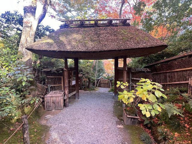 A Sanctuary for the Heartbroken Souls  — The Gio-ji Temple in Arashiyama