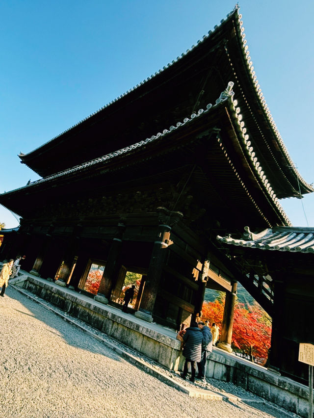 燃えるような紅葉🍁南禅寺で極上の秋を！