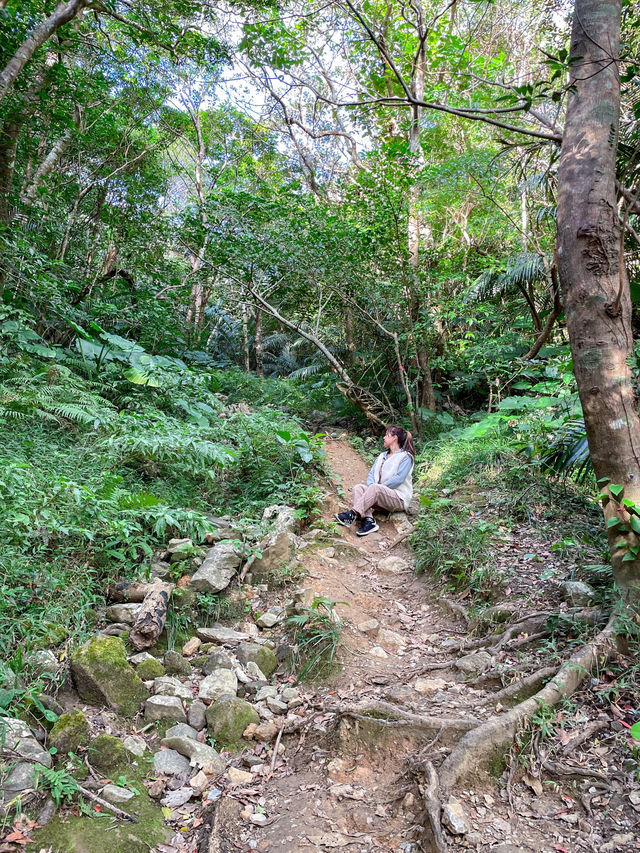 【沖縄】名護市 気分転換に最適！サクッと登れる絶景登山