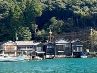 伊根遊船餵食海鷗，近距離感受海之京都