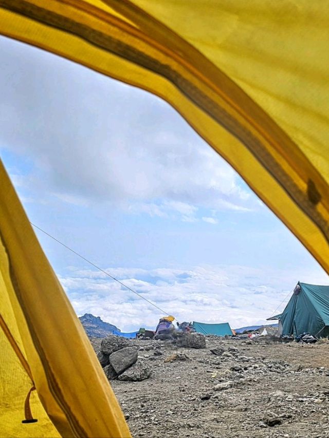Skiing & Hiking in Uhuru Peak 🏔️