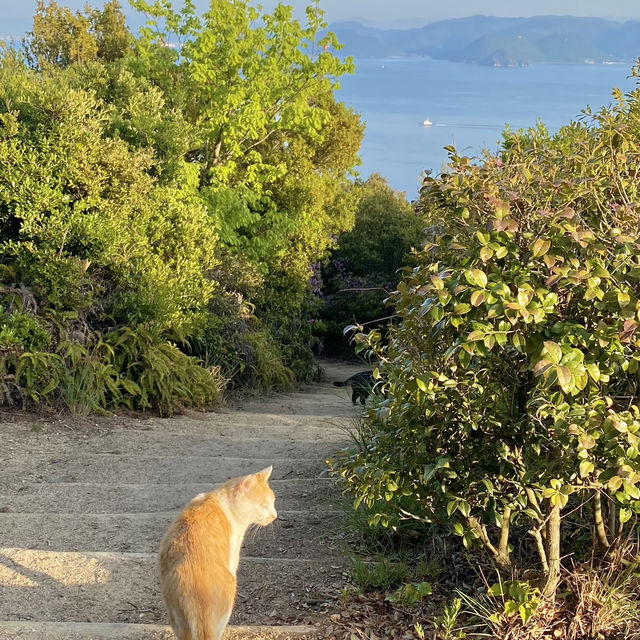 【岡山】王子が岳