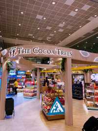 Changi T2 Airport - Satisfy all Your Needs