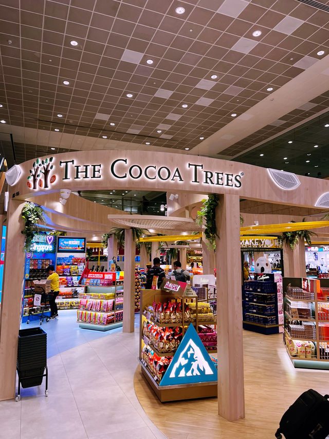 Changi T2 Airport - Satisfy all Your Needs