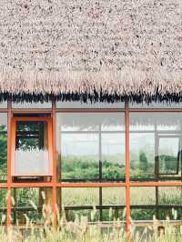 🇨🇳 Hangzhou Highlights: Explore West Lake, Ancient Temples, and Vibrant Streets