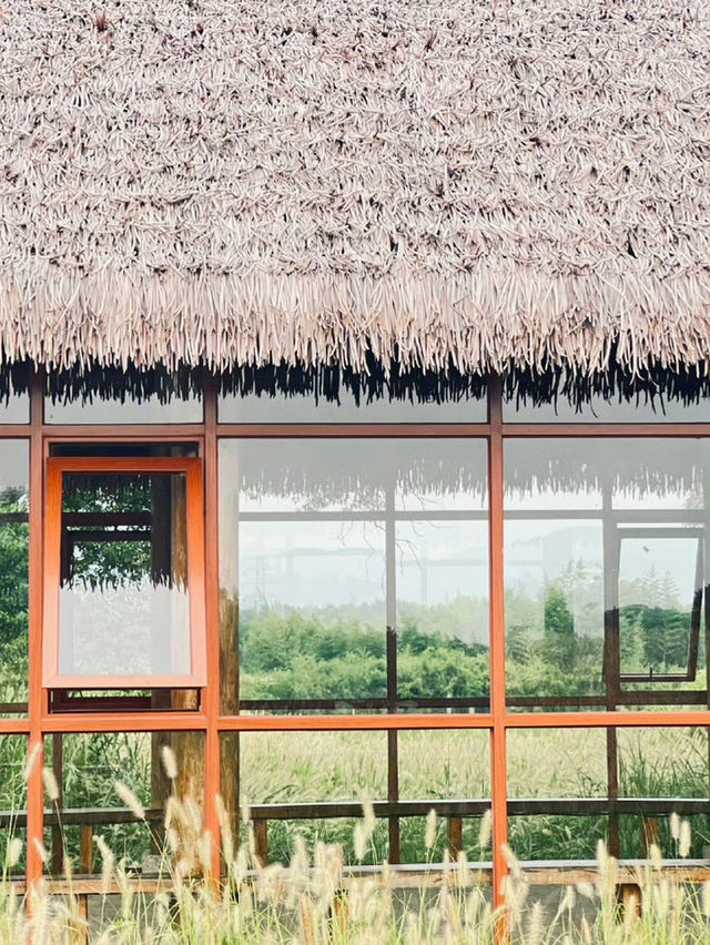 🇨🇳 Hangzhou Highlights: Explore West Lake, Ancient Temples, and Vibrant Streets