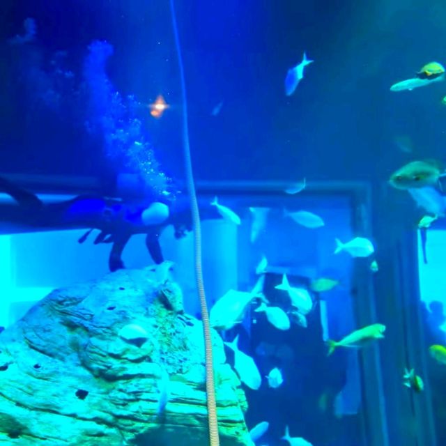 大阪旅行