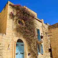 The charming Mdina 