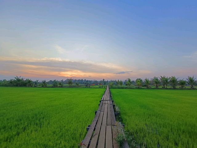 สะพานไม้ 100 ปี ครบุรี นครราชสีมา