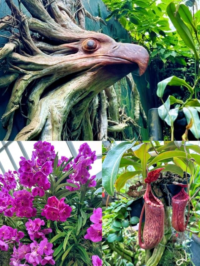 Gardens by the Bay, a must-visit attraction in Singapore!