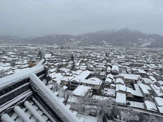 Winter Serenity at Matsushiro Castle