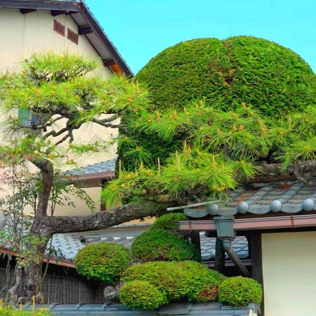 京都