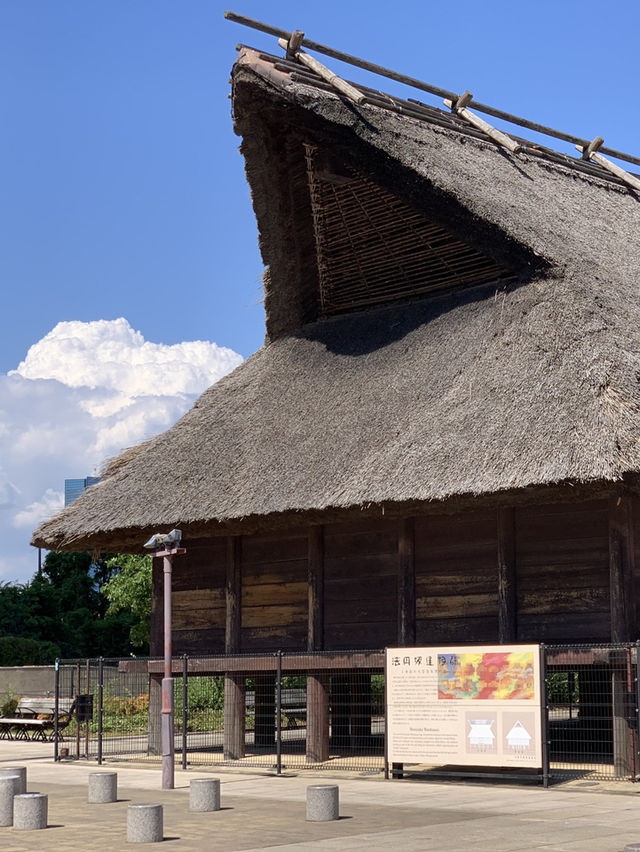 大阪歷史博物館：時光的珍寶✨
