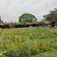 Immersing in Spirituality at Buddha Park, Vientiane
