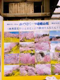 春日嵯峨山苑遊記 帶來心中的悸動💗
