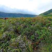 Bromo Tengger Semeru National Park