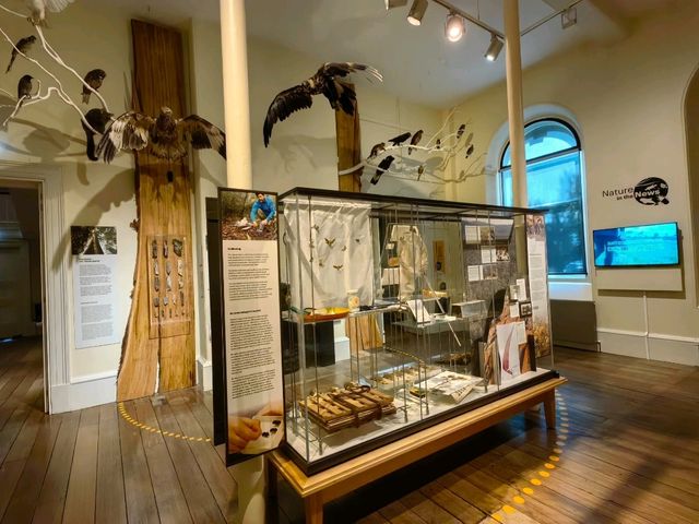 郵輪岸上遊～Tasmanian Art Gallery 