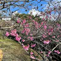 Nago Castle Park