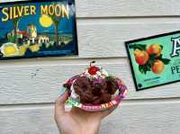 フロリダ🇺🇸アイスブラウニー🍨