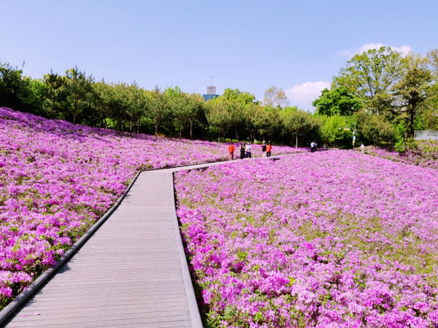 Buramsan Butterfly Park Flower Festival Review