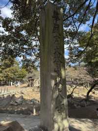 穿越千年的守護者：東大寺南大門初訪記⛩️