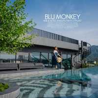 Blu Monkey Hub & Hotel Bangtao Beach Phuket✨