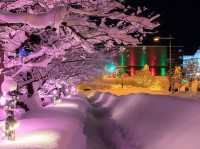 Chasing Sakura at Hirosaki Park Sakura Light Up