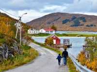 A Scenic Journey from Tromsø to Senja: A Ferry and Road Adventure