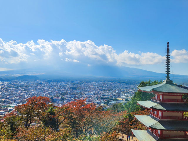 Falling in Love with Mount Fuji 🗻💛