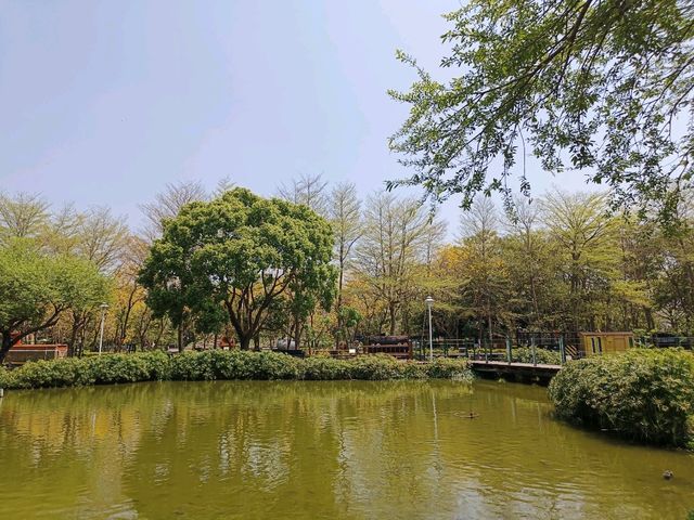 漫步糖廠，沉浸在賞花與春日暖陽中，格外愜意。