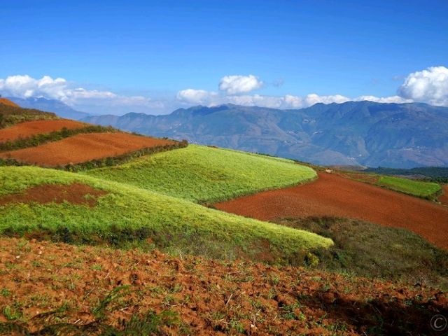 【中国】天空のパッチワーク！雲南省「東川紅土地」