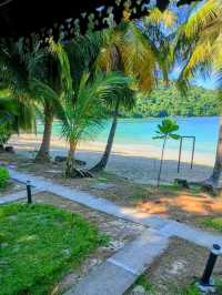 Tenggol Coral Beach Resort - The Dive Site