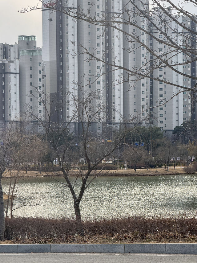 산책하기 좋은 공원 추천 ‘빛가람호수공원’
