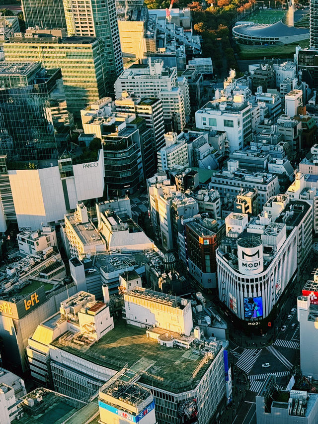 東京｜免費夜遊景點一日遊