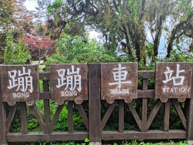 # 太平山國家森林遊樂區- 宜蘭縣大同鄉
