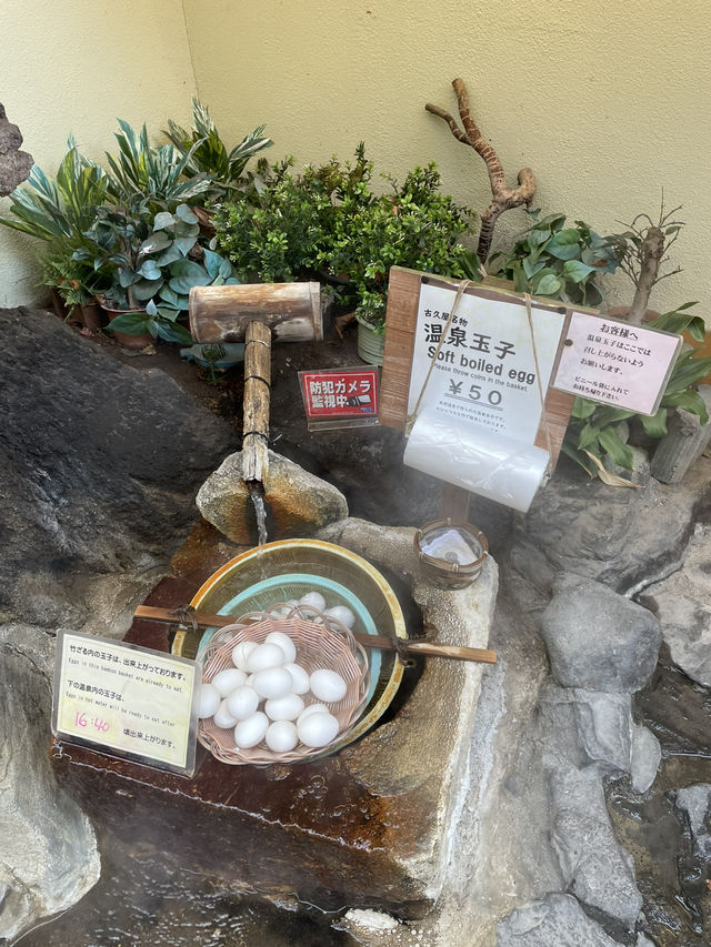 【長野】心も身体もリラックス！湯田中温泉へ