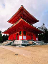 A Soulful Day Trip to Koyasan: A Journey Back to Peace 🧘‍♀️🌿
