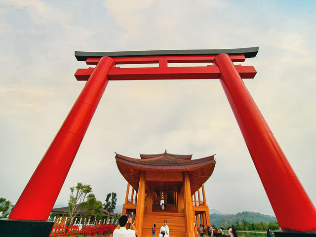 ฮิโนกิแลนด์ (HINOKI LAND)