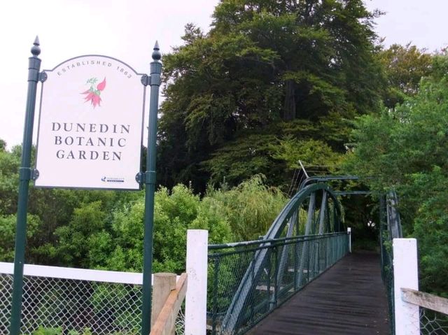 紐西蘭最古老的植物園#但尼丁植物園（Dunedin Botanic Garden）- 紐西蘭但尼丁市